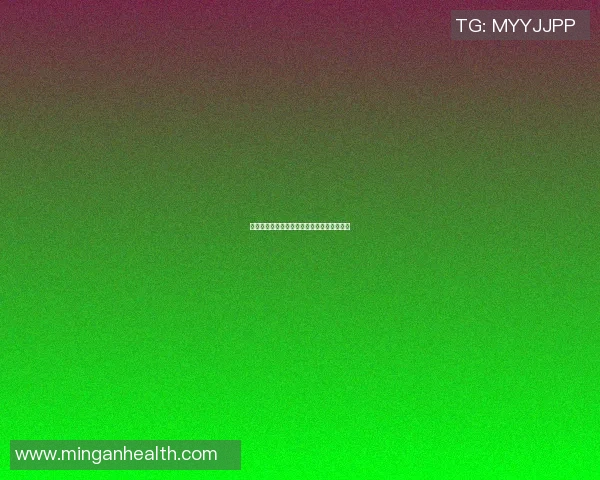 王少杰:从平凡到卓越的奋斗历程与人生启示